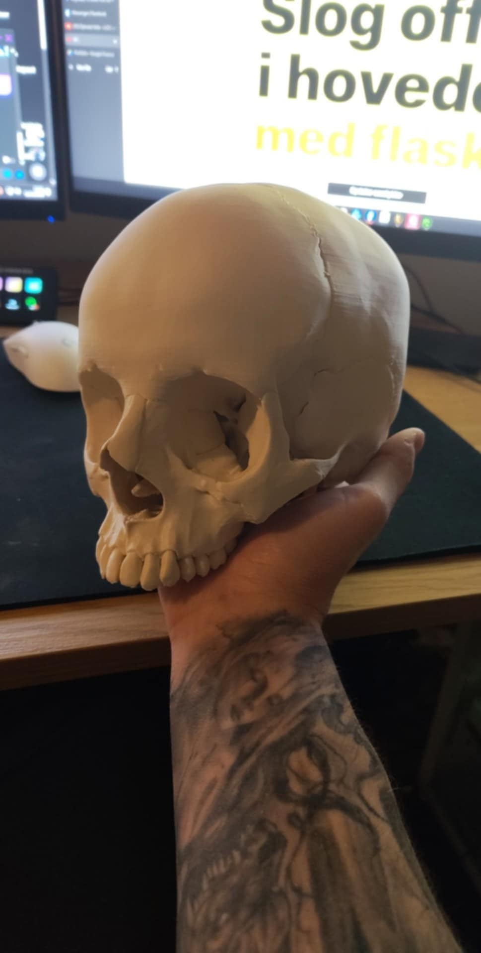 Realistisk Kranie – Fuld Størrelse