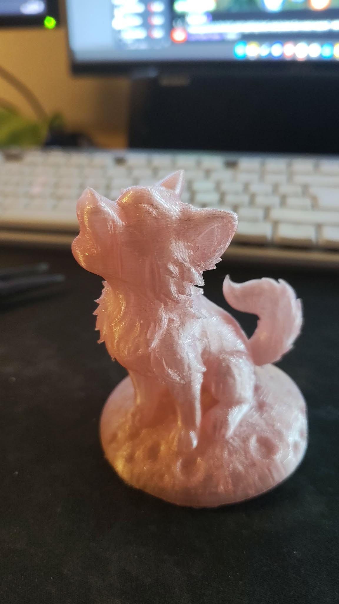 Perlemorshvid Ulv på Sokkel